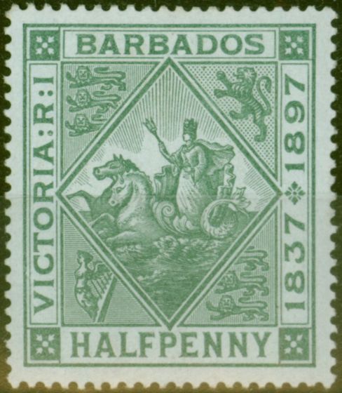 Valuable Postage Stamp from Barbados 1897 1/2d Dull Green Blued Paper SG126 Fine Mtd Mint