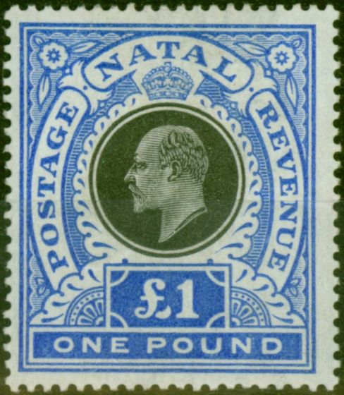 Valuable Postage Stamp from Natal 1902 £1 Black & Bright Blue SG142 Fine Mtd Mint