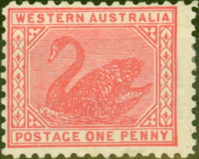 Valuable Postage Stamp from Western Australia 1908 1d Rose-Pink SG151 Fine Mtd Mint