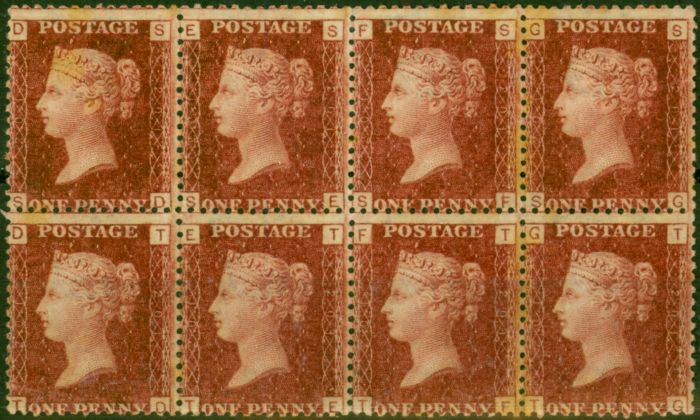 Old Postage Stamp GB 1864 1d Rose-Red SG43-44 Pl 201 Good MNH Block of 8 (S-D, T-G)