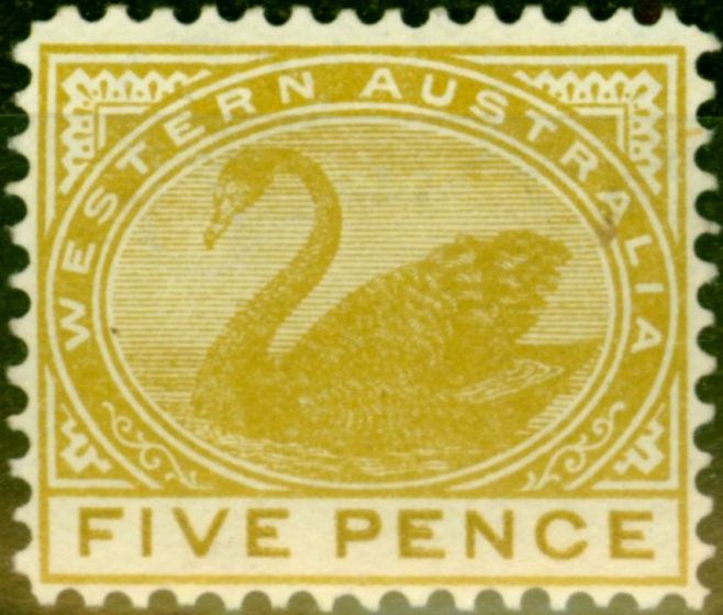 Valuable Postage Stamp from Western Australia 1905 5d Pale Olive-Bistre SG143 Fine & Fresh Mtd Mint