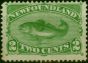 Collectible Postage Stamp Newfoundland 1896 2c Green SG64 Fine Unused