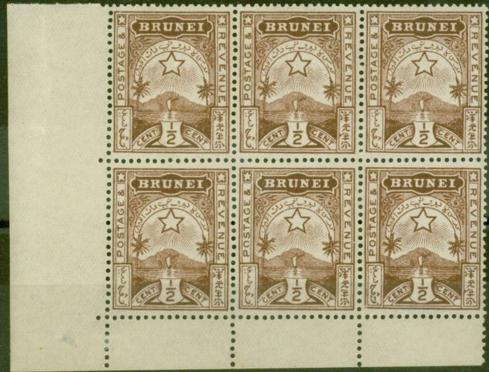 Collectible Postage Stamp from Brunei 1895 1/2c Brown SG1 Fine MNH Corner Block of 6