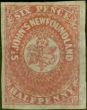 Old Postage Stamp Newfoundland 1862 6 1/2d  Rose-Lake SG21 Fine MM