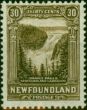 Old Postage Stamp Newfoundland 1931 30c Sepia SG208 Fine & Fresh LMM