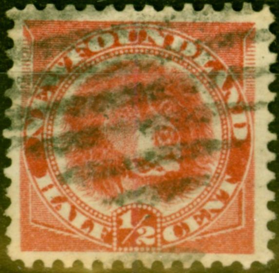 Old Postage Stamp from Newfoundland 1887 1/2c Rose-Red SG49 Fine Used