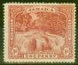 Rare Postage Stamp from Jamaica 1900 1d Red SG31 Very Lightly Mtd Mint