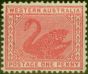 Collectible Postage Stamp from Western Australia 1903 1d Carmine-Rose SG117a Wmk Upright Fine Mtd Mint