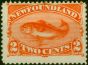 Newfoundland 1887 2c Orange-Vermilion SG51 Fine MM  Queen Victoria (1840-1901) Rare Stamps