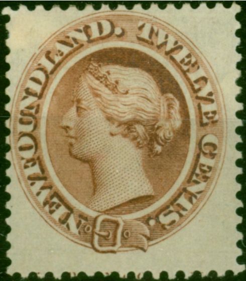 Newfoundland 1865 12c Red-Brown SG28 Fine MM . Queen Victoria (1840-1901) Mint Stamps