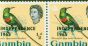 Collectible Postage Stamp from Gambia 1965 1/2d Sunbird SG215var Shadow Line under leg in a V.F MNH Block of 10