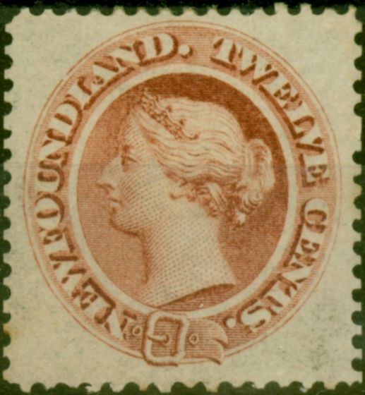 Rare Postage Stamp Newfoundland 1865 12c Red-Brown SG28 Fine & Fresh MM