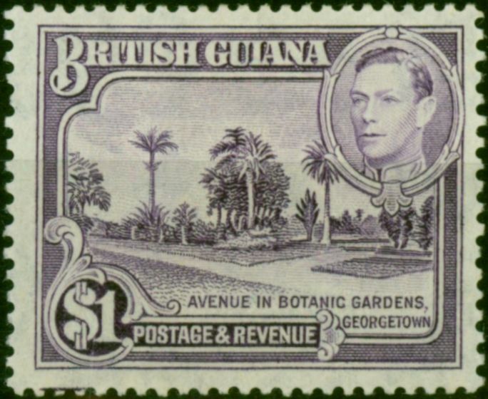 British Guiana 1951 $1 Bright Violet SG317a V.F LMM Scarce  King George VI (1936-1952) Valuable Stamps