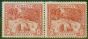 Old Postage Stamp from Jamaica 1900 1d Red SG31 Fine Mtd Mint Pair