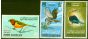 Old Postage Stamp from Jordan 1964 Birds Set of 3 SG627-629 Fine MNH Scarce Set