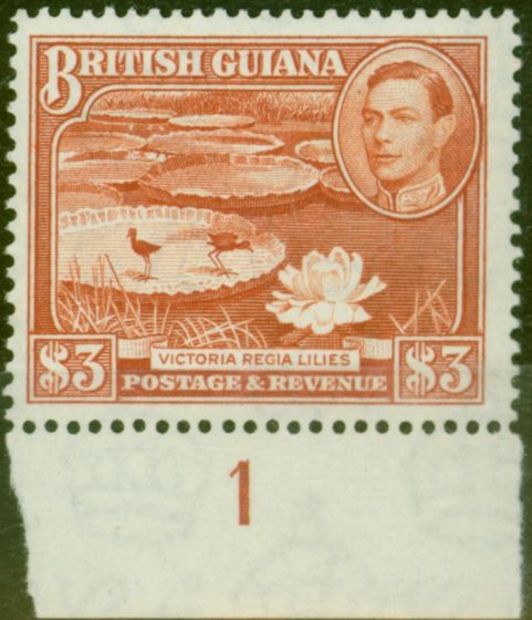 Old Postage Stamp from British Guiana 1952 $3 Red-Brown SG319b P.14 x 13 Fine MNH Pl 1