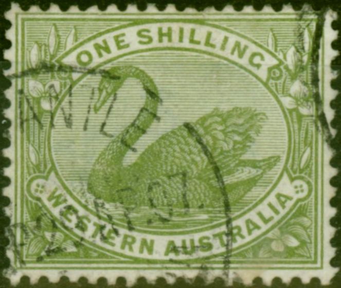 Valuable Postage Stamp Western Australia 1893 1s Olive-Green SG116 Fine Used