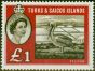 Rare Postage Stamp Turks & Caicos Islands 1960 £1 Sepia & Deep Red SG253 V.F MNH