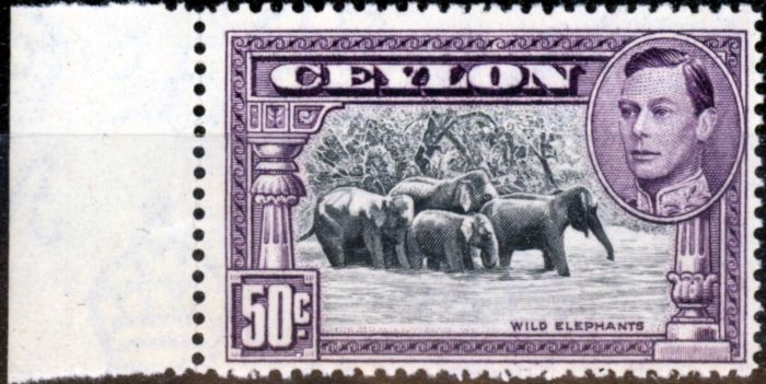 Old Postage Stamp from Ceylon 1942 50c Black & Mauve SG394c Line Perf 14 V.F Very Lightly Mtd Mint