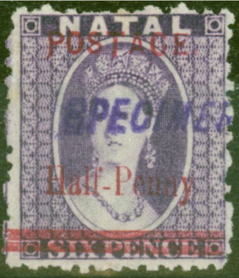 Old Postage Stamp from Natal 1895 1/2d on 6d Violet Specimen SG114gs Long Tail to P & T Only 73 Exist