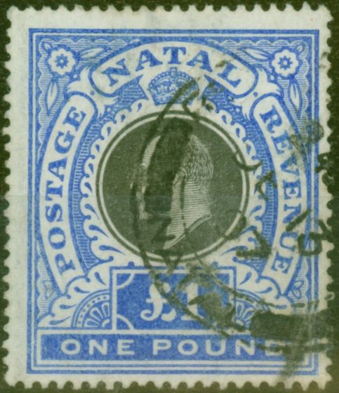 Valuable Postage Stamp from Natal 1902 £1 Black & Bright Blue SG142 Fine Used