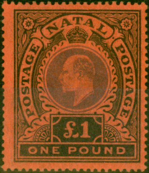 Collectible Postage Stamp Natal 1908 £1 Purple & Black-Red SG171 Fine MM