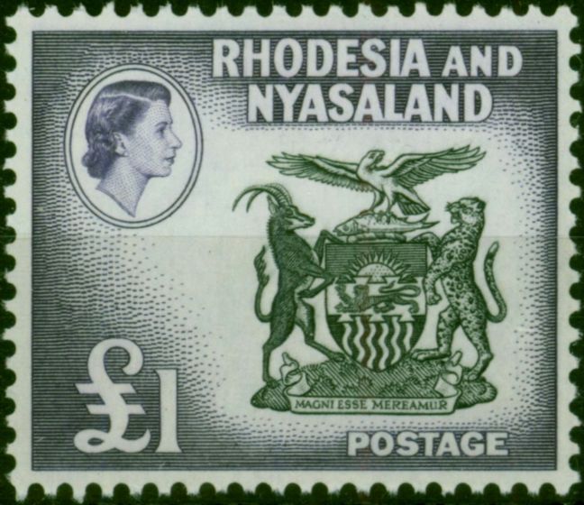 Old Postage Stamp Rhodesia & Nyasaland 1954 £1 Black & Deep Violet SG31 Fine & Fresh LMM
