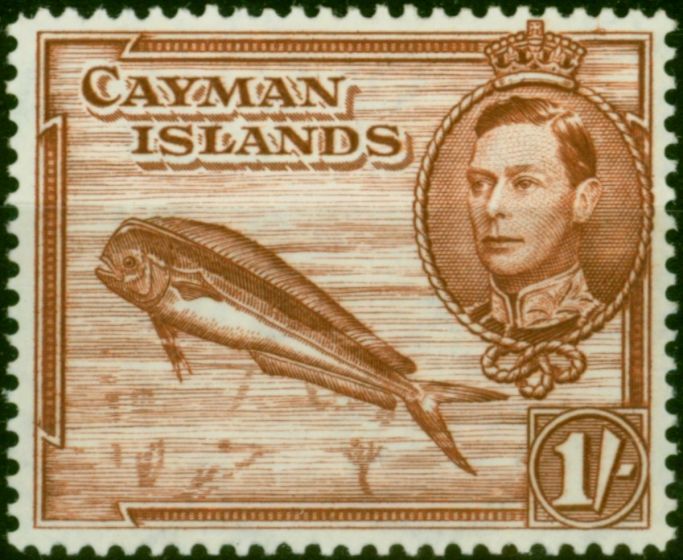 Cayman Islands 1943 1s Red-Brown SG123b P.14 Fine VLMM . King George VI (1936-1952) Mint Stamps