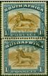 Rare Postage Stamp South Africa 1930 1s Brown & Deep Blue SG36a P.14 x 13.5 Fine Used Verical Pair