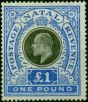 Collectible Postage Stamp Natal 1902 £1 Black & Bright Blue SG142 Fine MM