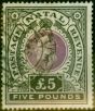 Rare Postage Stamp from Natal 1902 £5 Mauve & Black SG144 Fine Used 'Durban' CDS Scarce
