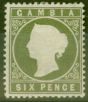 Valuable Postage Stamp from Gambia 1889 6d Bronze Green SG33 Fine Mtd Mint