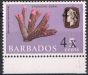 Valuable Postage Stamp from Barbados 1970 4c on 5c Sepia, Rose & Lilac SG398d Surch Quadruple Fine MNH Unique