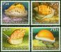 Collectible Postage Stamp Papua New Guinea 1986 Shells Set of 4 SG516-519 V.F MNH