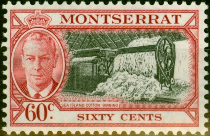 Valuable Postage Stamp from Montserrat 1951 60c Black & Carmine SG132 Fine MNH