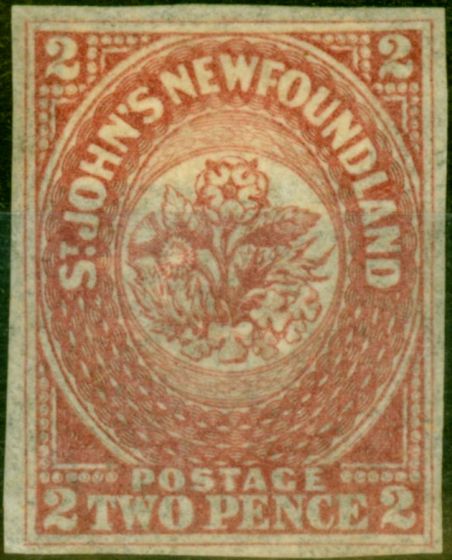 Rare Postage Stamp from Newfoundland 1862 2d Rose-Lake SG17 Fine & Fresh Mtd Mint