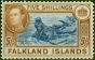 Valuable Postage Stamp from Falkland Islands 1938 5s Blue & Chestnut SG161 V.F MNH