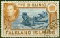Old Postage Stamp from Falkland Islands 1938 5s Indigo & Pale Yellow-Brown SG161b V.F.U