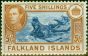 Old Postage Stamp from Falklands Islands 1949 5s Dull Blue & Yellow-Brown SG161c Very Fine MNH