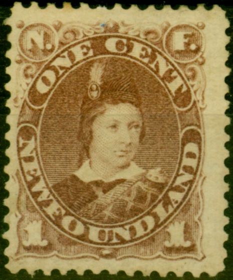 Collectible Postage Stamp from Newfoundland 1880 1c Red-Brown SG44b Fine & Fresh Unused