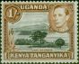 Collectible Postage Stamp KUT 1949 1s Black & Yellowish-Brown SG145b P.13 x 12.50 Fine MM