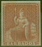 Collectible Postage Stamp from Barbados 1855 (4d) Brownish Red SG5 Fine & Fresh Unused
