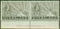 Valuable Postage Stamp Nyasaland 1934 2d Pale Grey SG117 V.F MNH Imprint Pair
