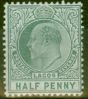 Rare Postage Stamp from Lagos 1906 1/2a Dull Green & Green SG54a Fine Lightly Mtd Mint