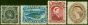 Collectible Postage Stamp Newfoundland 1894 Colour Change Set of 4 SG59-61 Fine Used