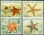 Rare Postage Stamp Papua New Guinea 1987 Star Fish Set of 4 SG563-566 V.F MNH