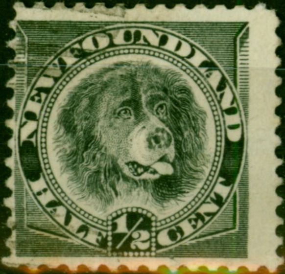 Valuable Postage Stamp Newfoundland 1894 1/2c Black SG59 Fine Used