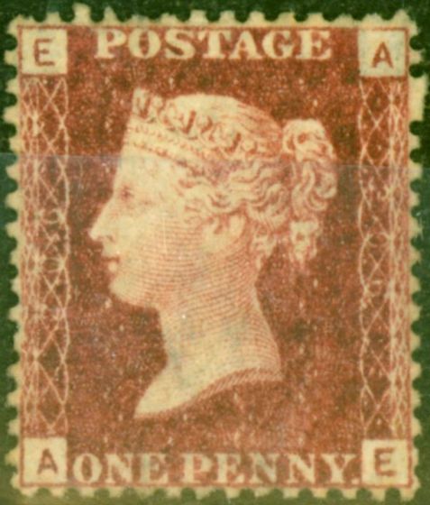 Valuable Postage Stamp from GB 1864 1d Rose-Red SG43 Pl. 206 Fine & Fresh Unused