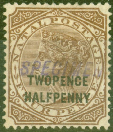 Valuable Postage Stamp from Natal 1891 2 1/2d on 4d Brown Specimen SG109s V.F Mtd Mint