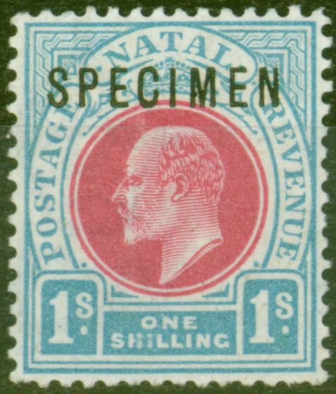 Rare Postage Stamp from Natal 1902 1s Carmine & Pale Blue Specimen SG136s Fine & Fresh Mtd MInt